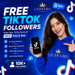 How to Build Your First Audience on TikTok with Leofame